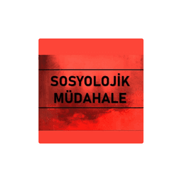 Sosyolojik Müdahale